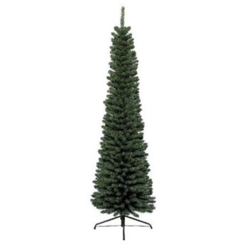 Novogodišnja jelka Pencil Pine 240 Cm