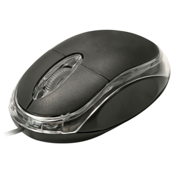 Connect XL Miš optički, 800dpi, USB, crna boja - CXL-M100BK - Image 2