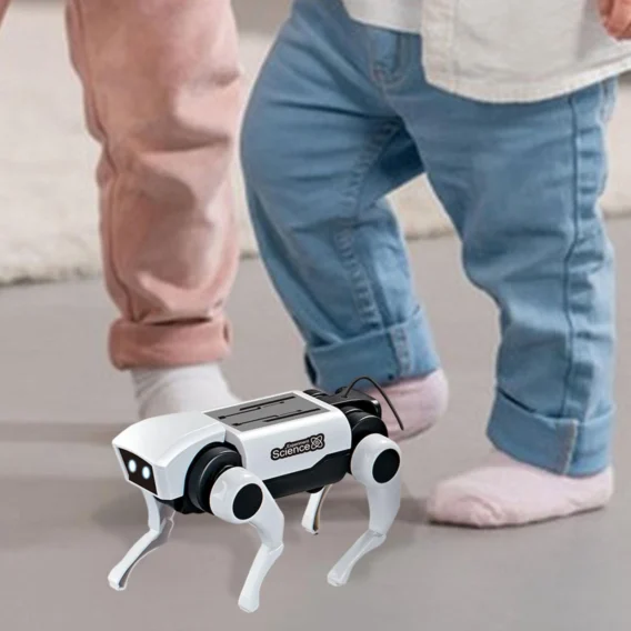 Robot Pas Na Daljinsko Upravljanje - Image 3
