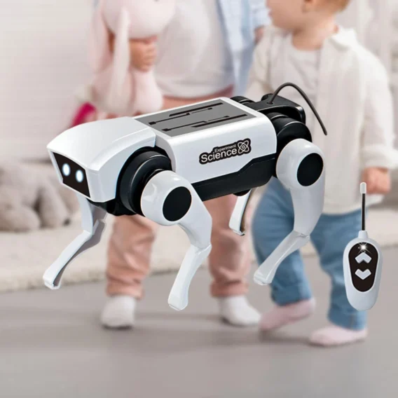 Robot Pas Na Daljinsko Upravljanje - Image 2