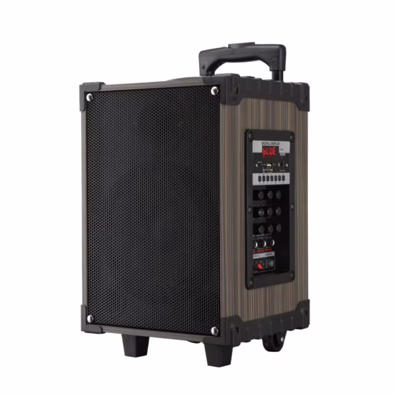 Karaoke Bluetooth Zvučnik 908