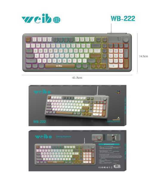 Tastatura Za Računar RGB WB-222 - Slika 2